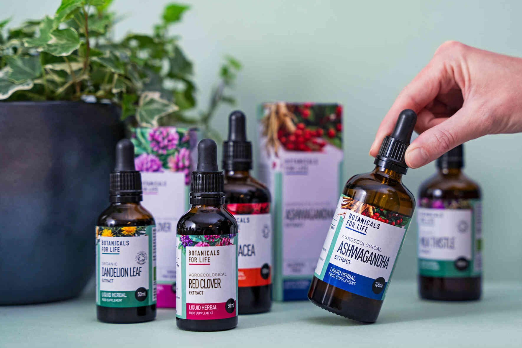 Bylinné kapky Botanicals For Life – výběr přírodních extraktů pro různé oblasti zdraví